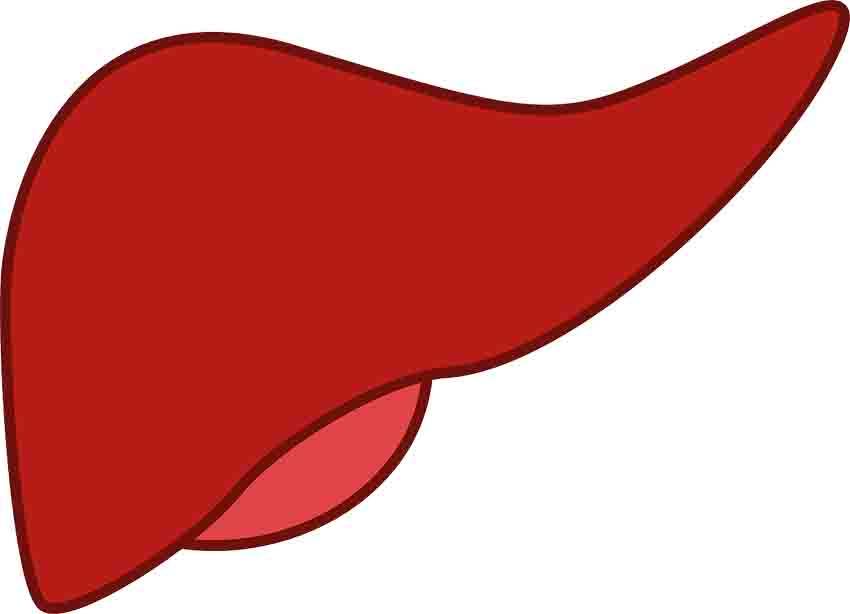 help-your-liver-with-these-5-foods